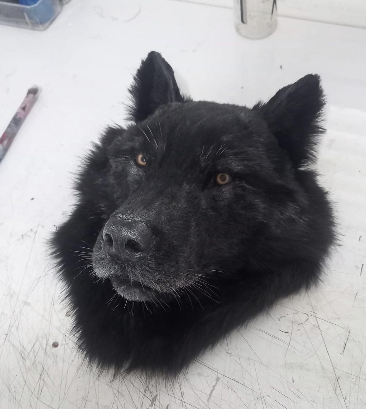 9 кругов ада Schiaparelli