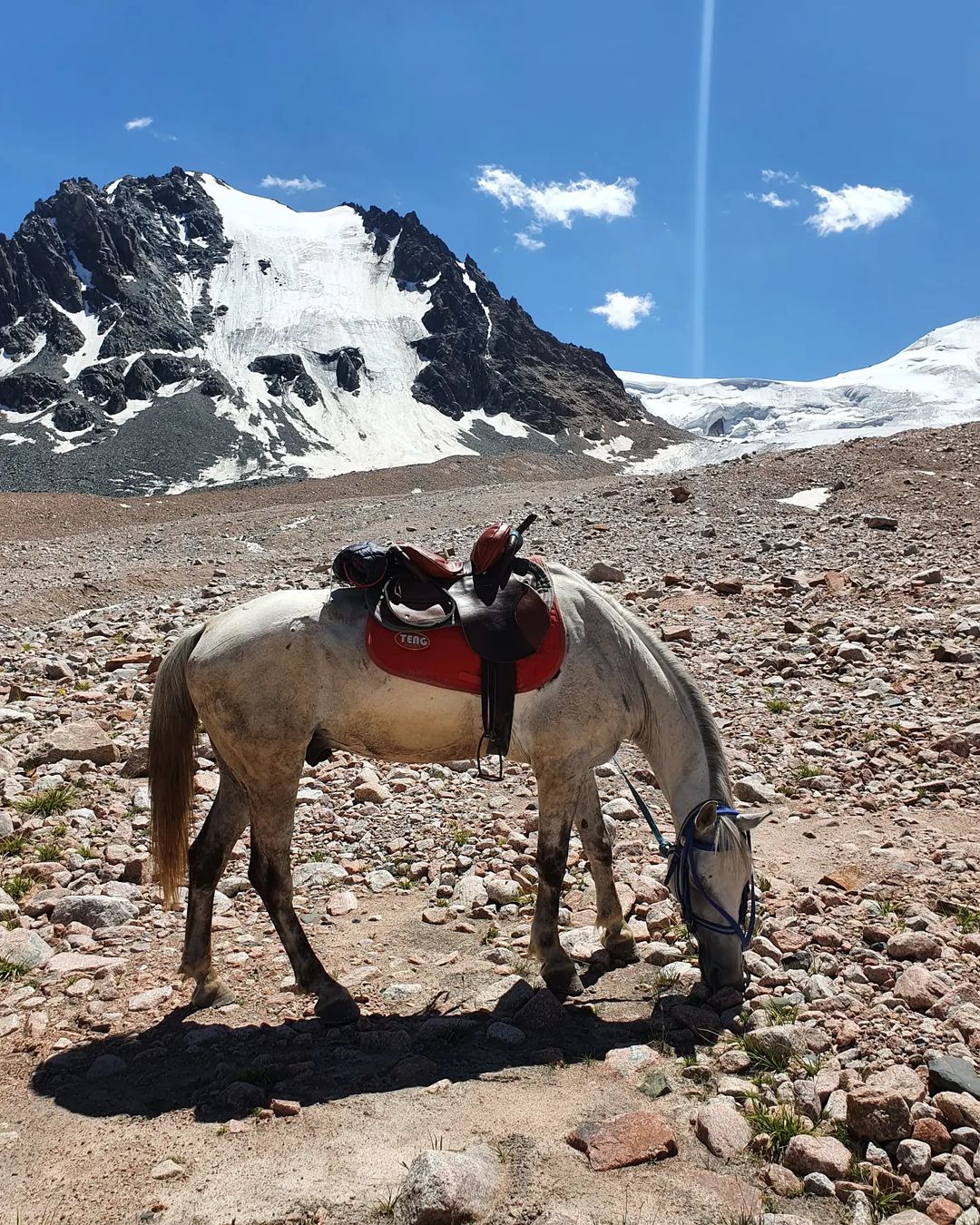 Где можно покататься на лошадях в Алматы и Астане?