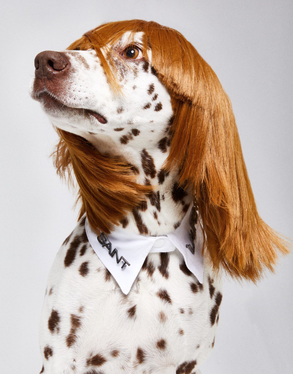 JustSex.com тобы