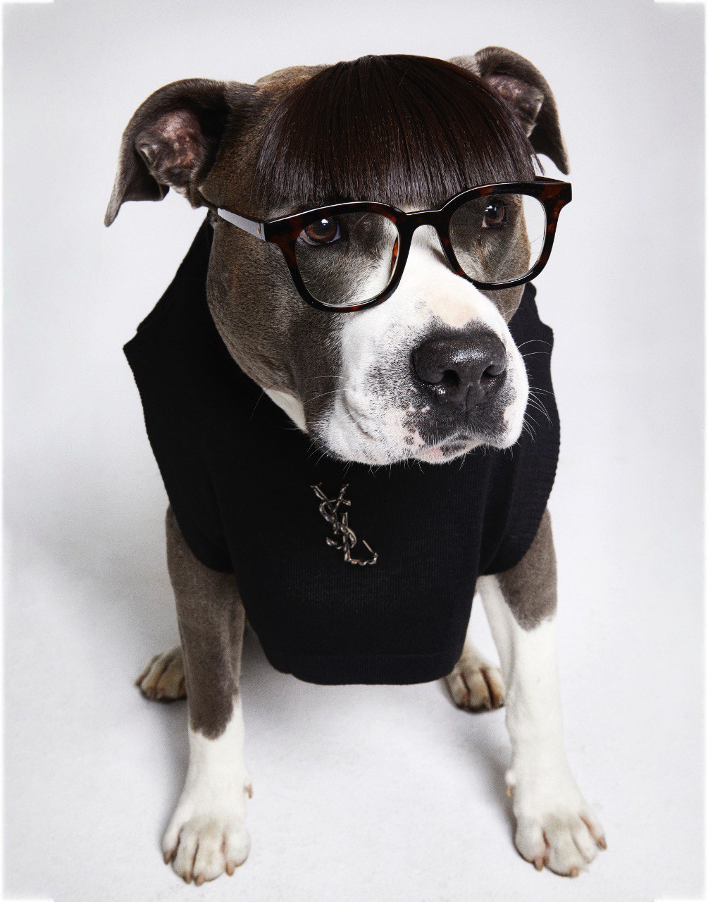 Спенсер Гей мен Гайан Ге онлайн сынақтан өтіңіз