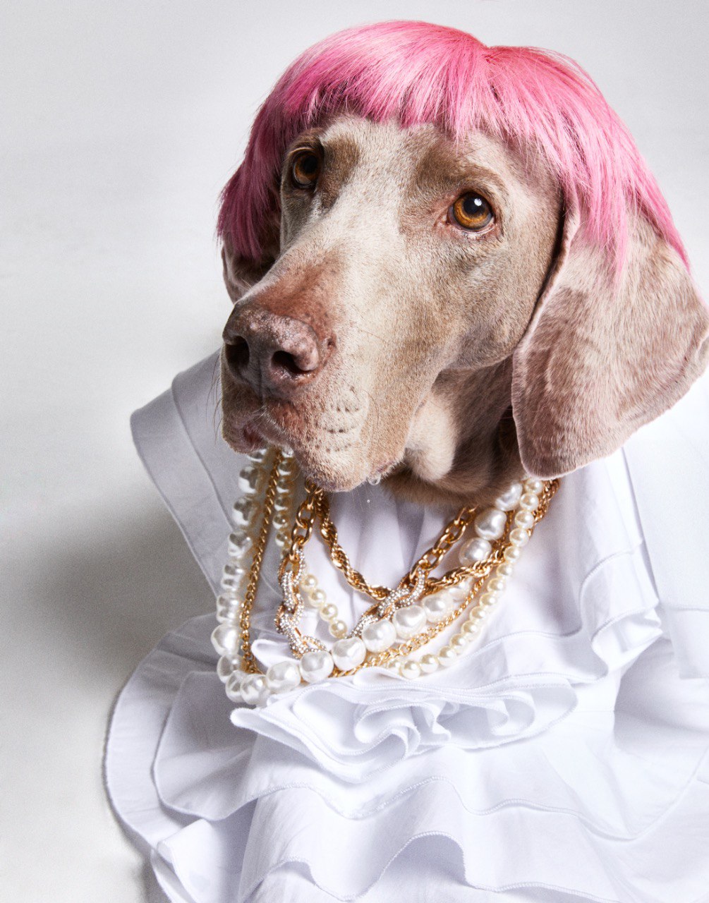 Қыздар сендерге жалап алған ұнайды ма?