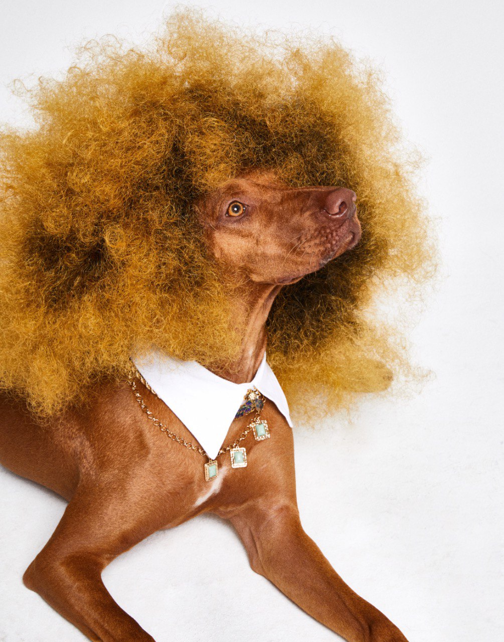 ELLE Kazakhstan түсірілім