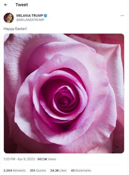 Мелания Трамп после ареста