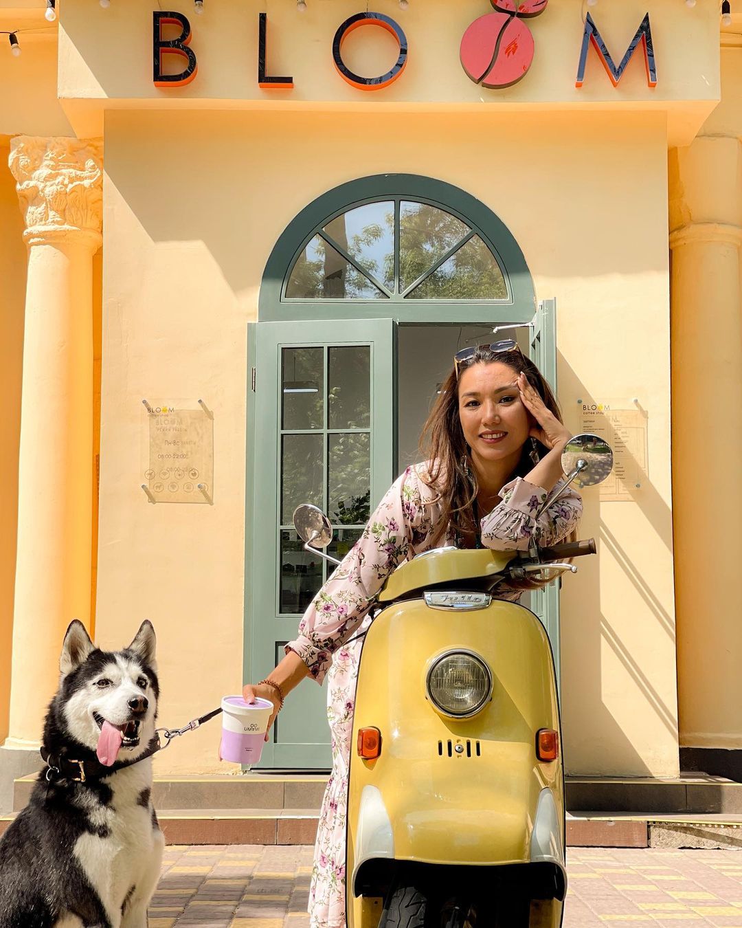 Dog-friendly заведения в Алматы и Астане, куда пускают с собаками