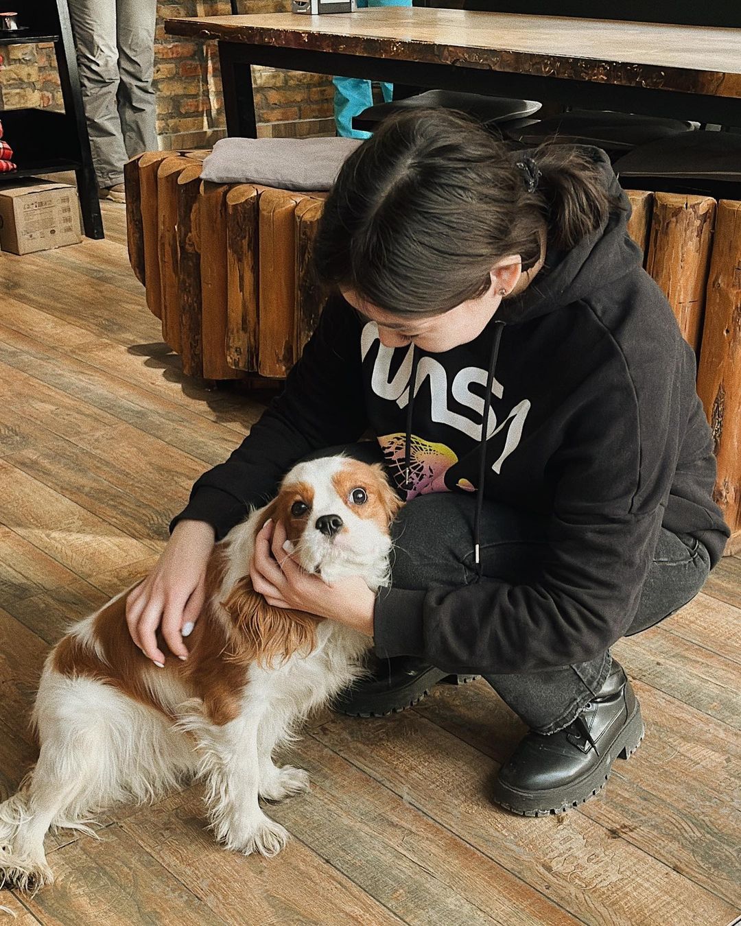 Dog-friendly заведения в Алматы и Астане, куда пускают с собаками