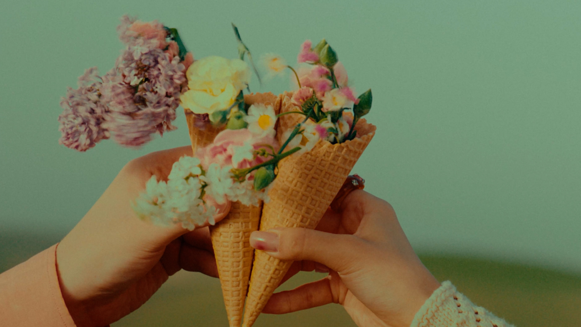 «asyl janym» M’Dee