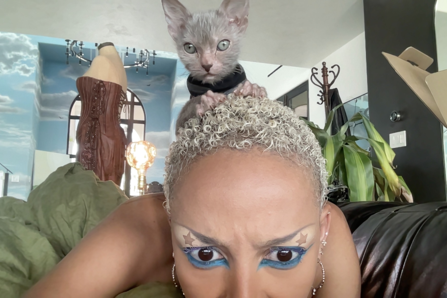 Doja Cat завела кота