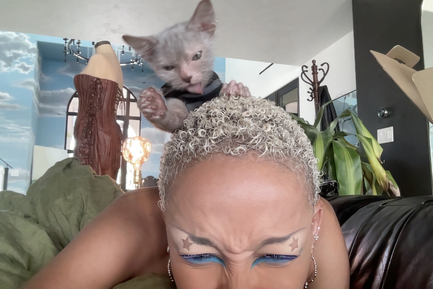 Doja Cat завела кота