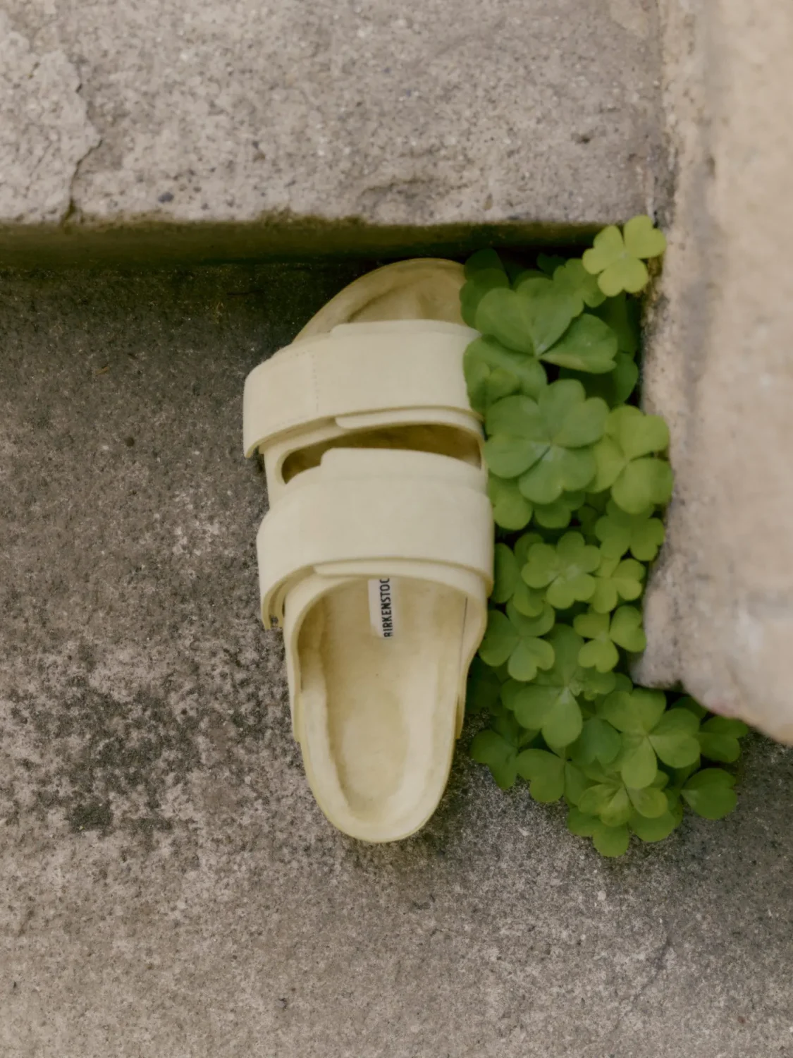 коллаборация Birkenstock х Tekla