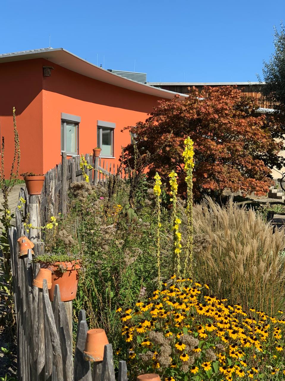 Weleda Асселина Алина