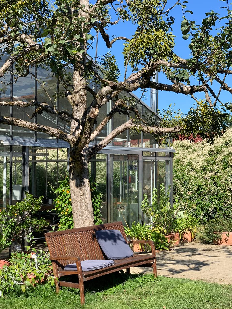 Weleda Асселина Алина