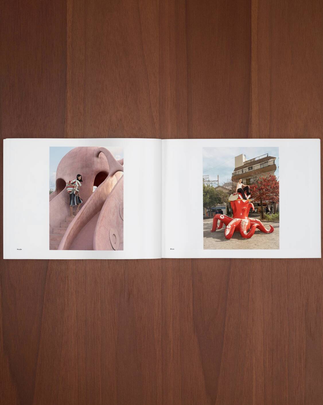 Bottega Veneta журнал