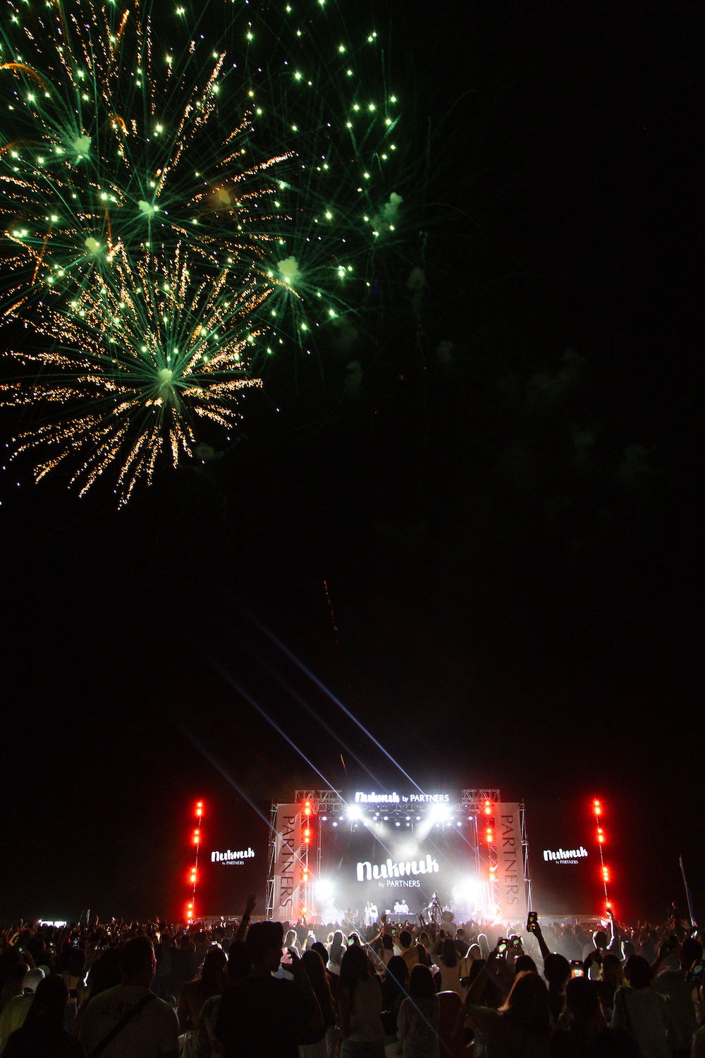 Пикник by Partners 10 лет