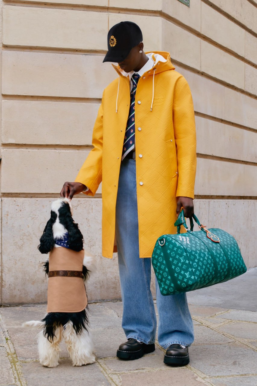 коллекция Louis Vuitton DOG LVers