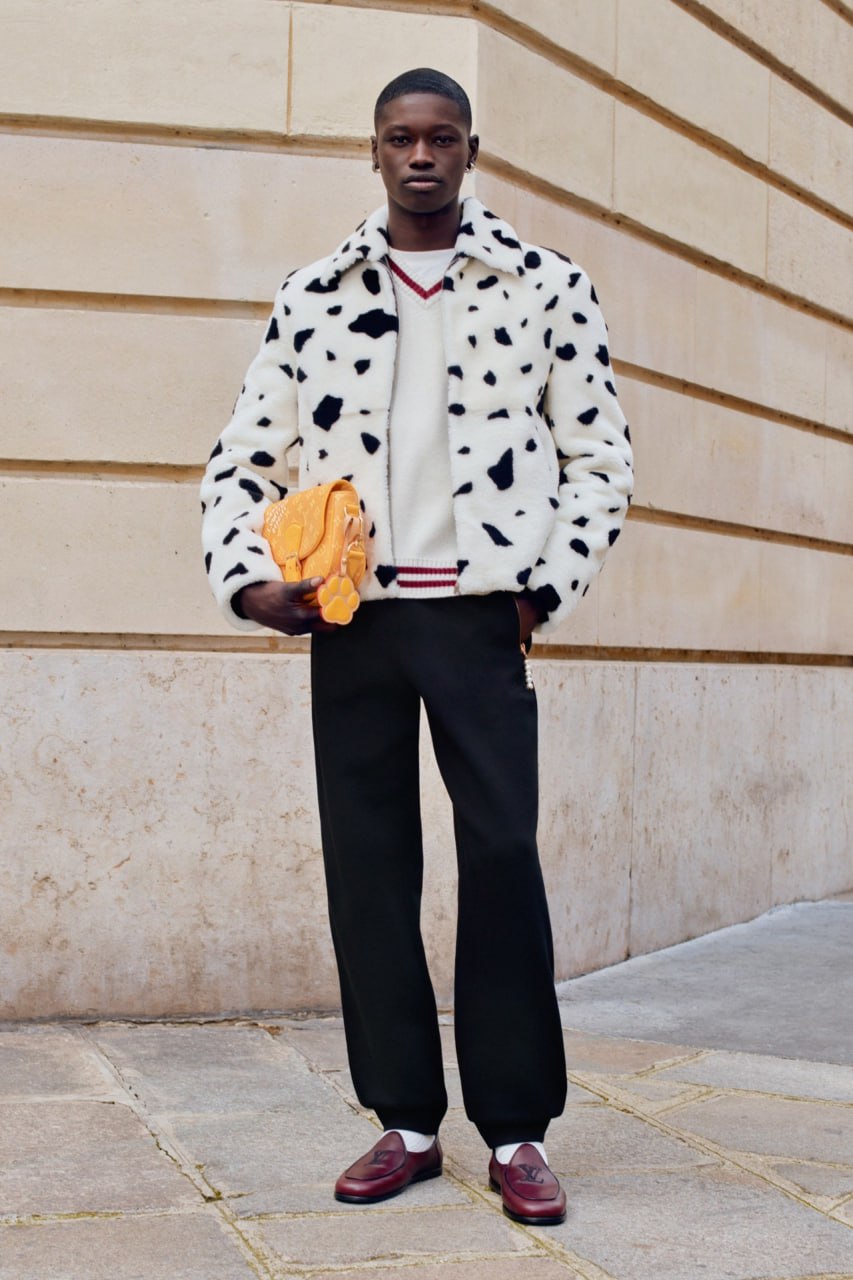 коллекция Louis Vuitton DOG LVers