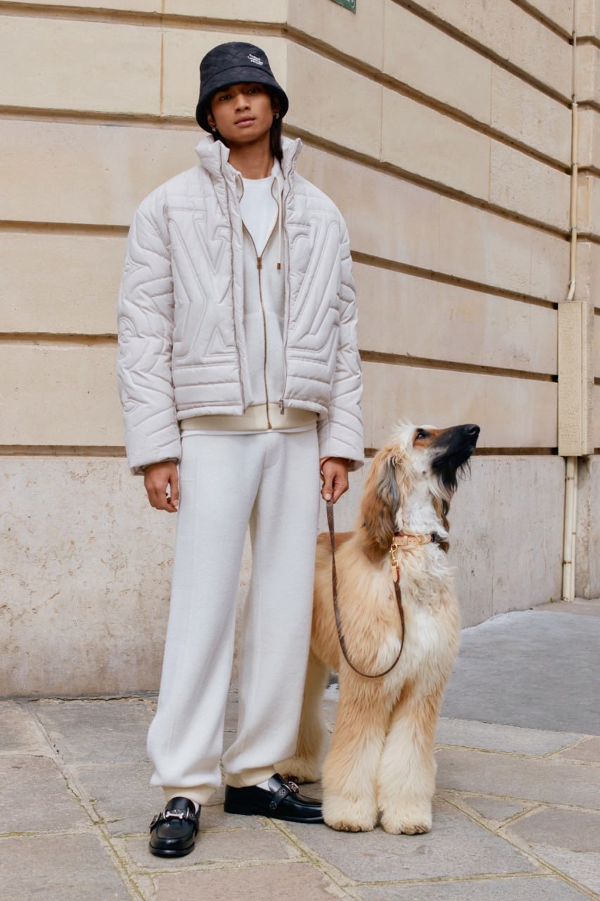 коллекция Louis Vuitton DOG LVers