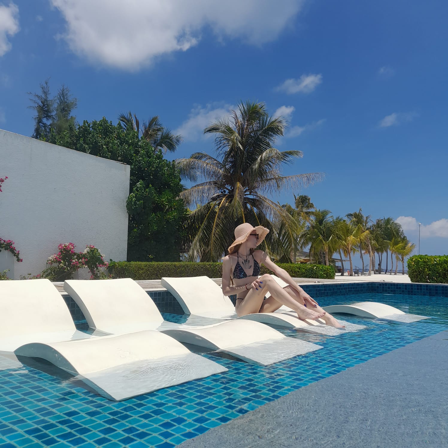 Пикник by Partners