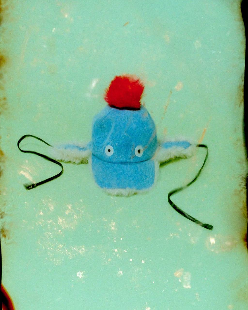 праздничная коллекция Marni