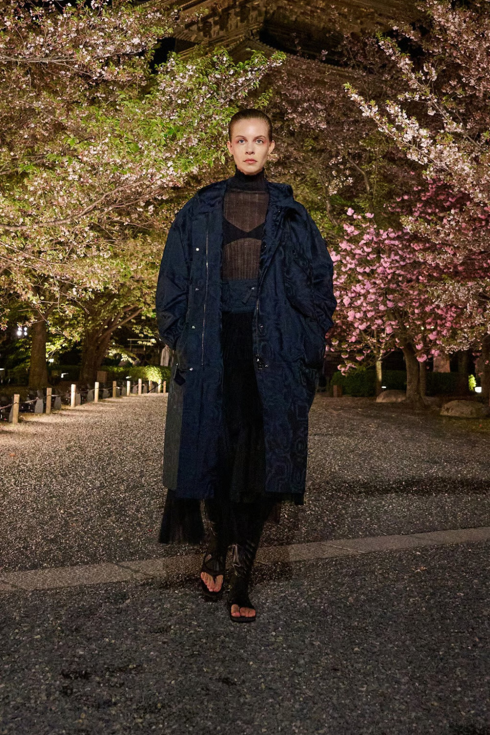 показ Dior Pre-Fall 2025