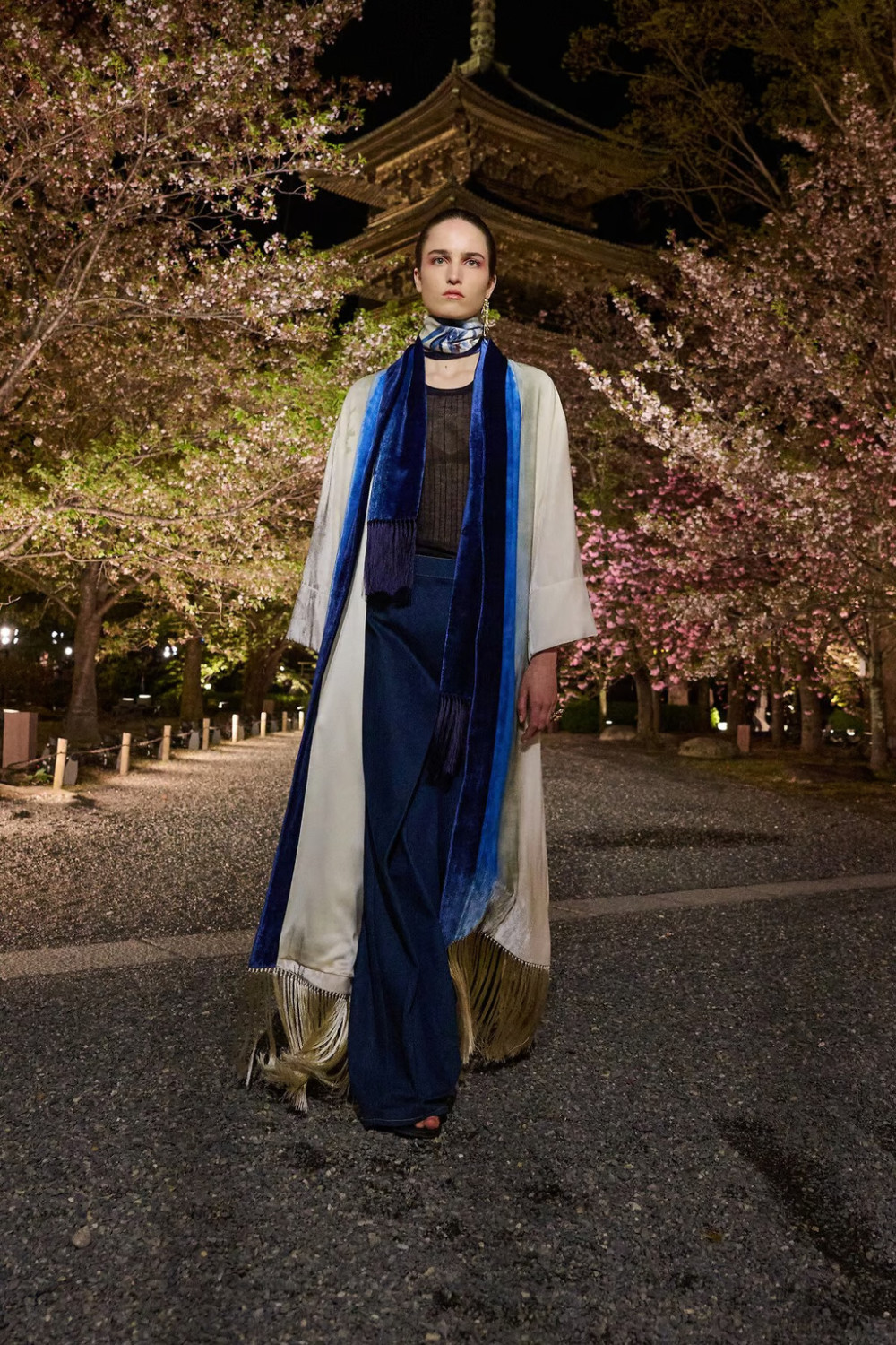 показ Dior Pre-Fall 2025