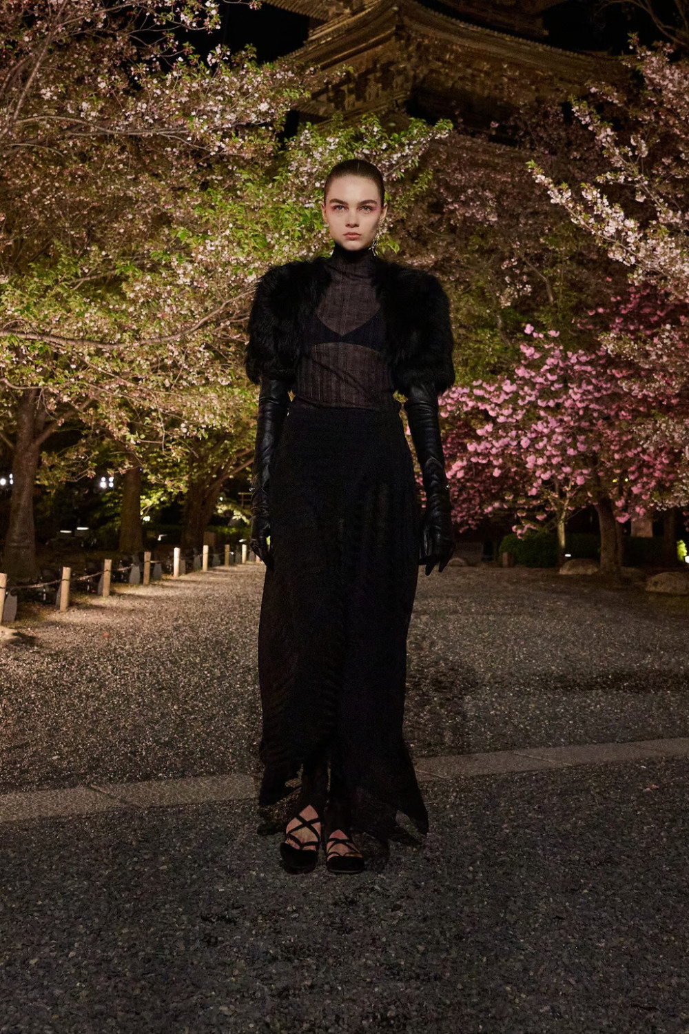 показ Dior Pre-Fall 2025