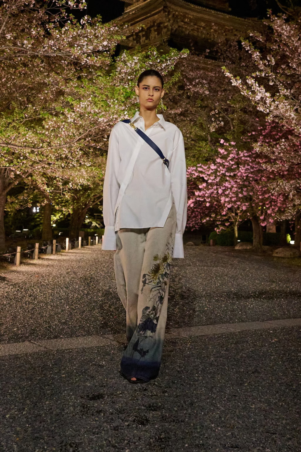 показ Dior Pre-Fall 2025