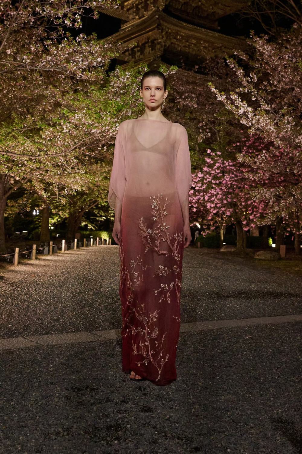 показ Dior Pre-Fall 2025