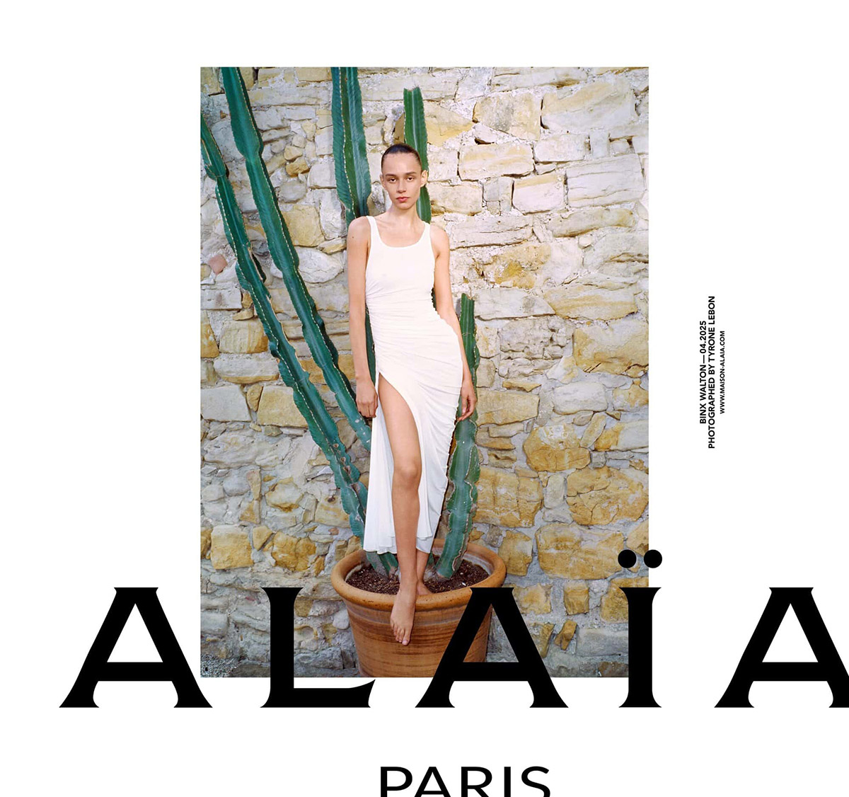 Alaïa Achetypes