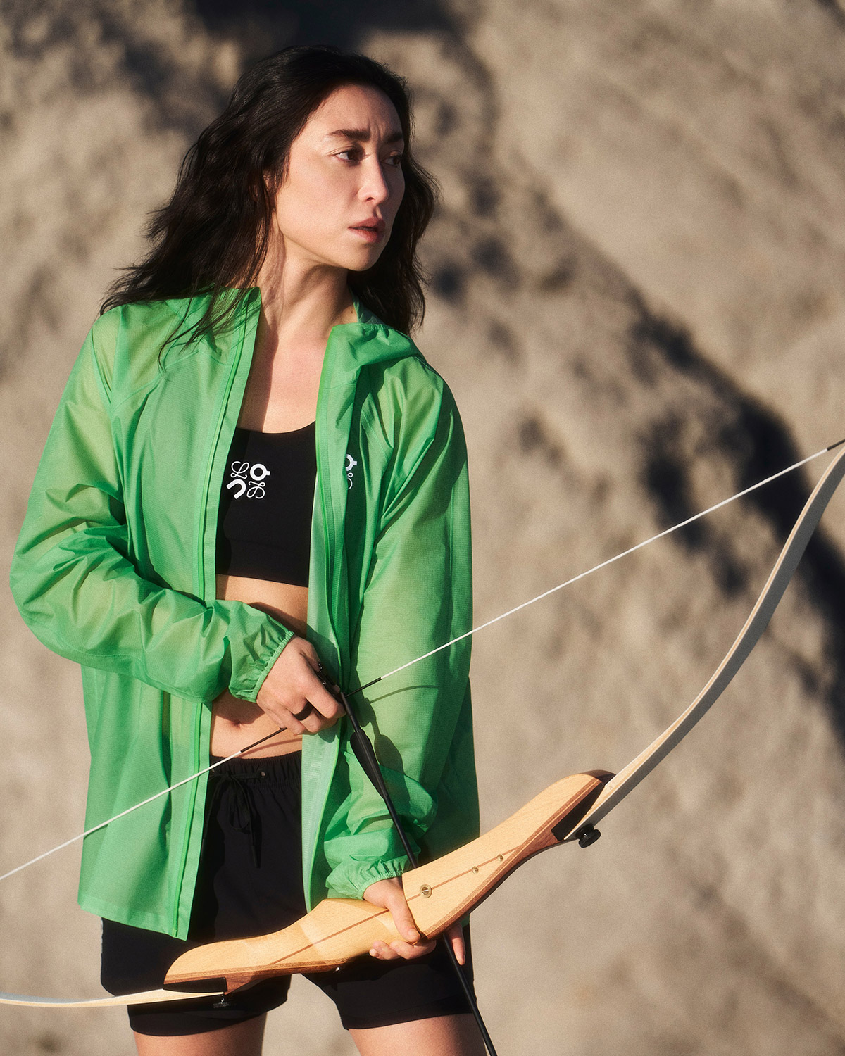 коллаборация LOEWE On