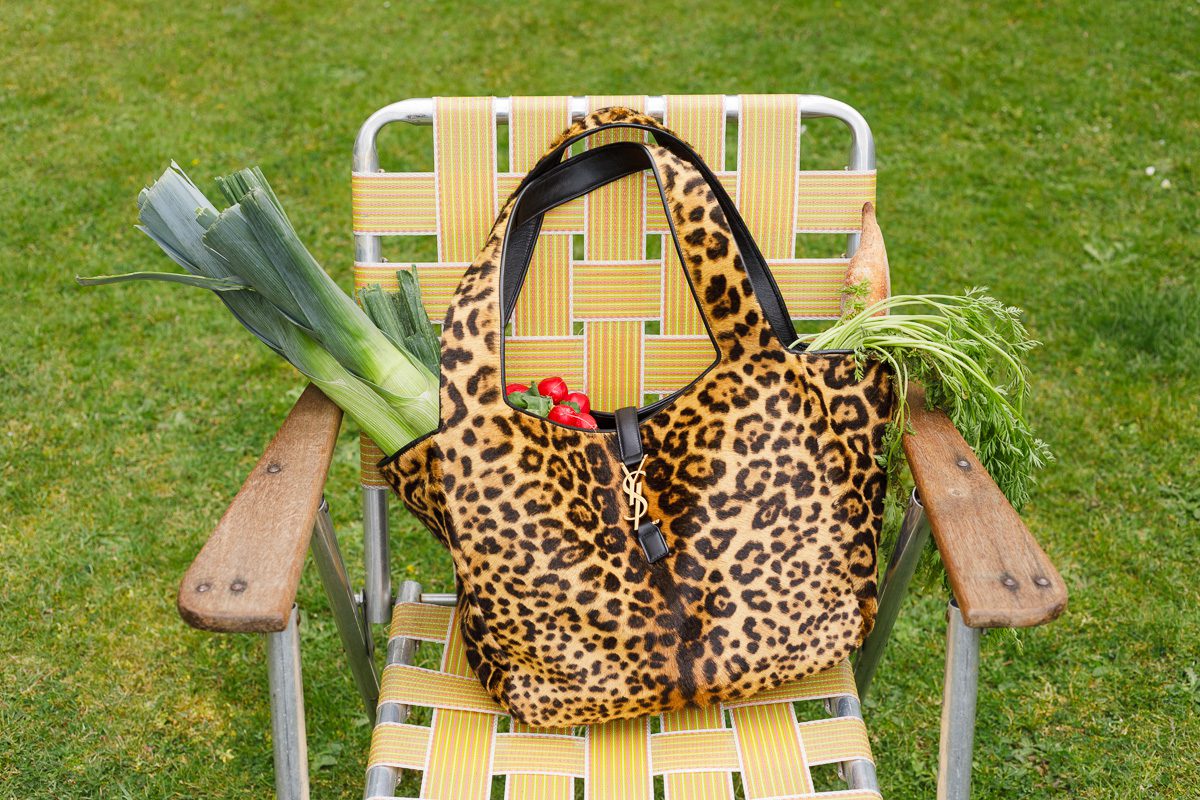 кампейн Saint Laurent An Ordinary Day