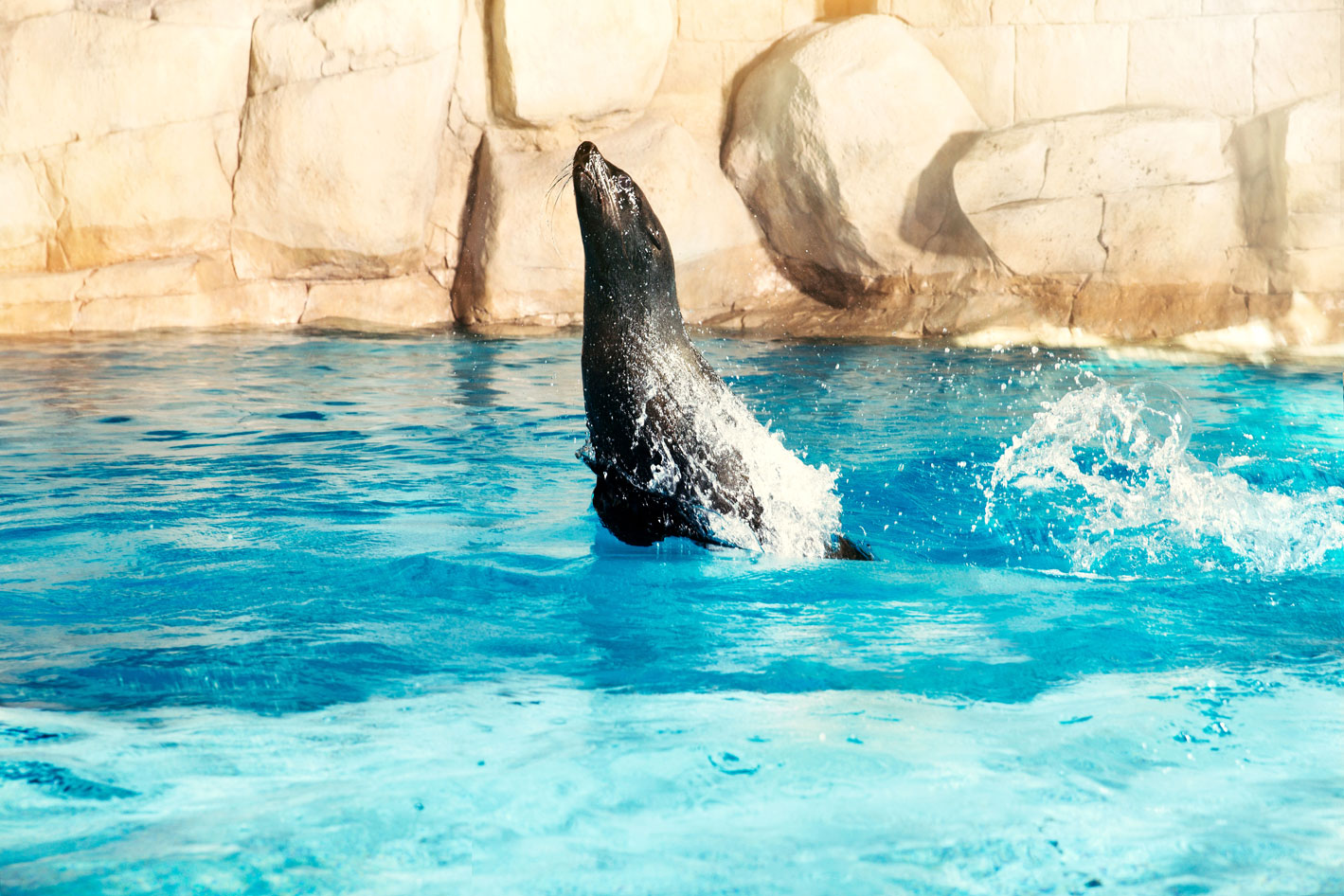 Atlantis, The Palm: в отпуск всей семьей — в мир океанских приключений