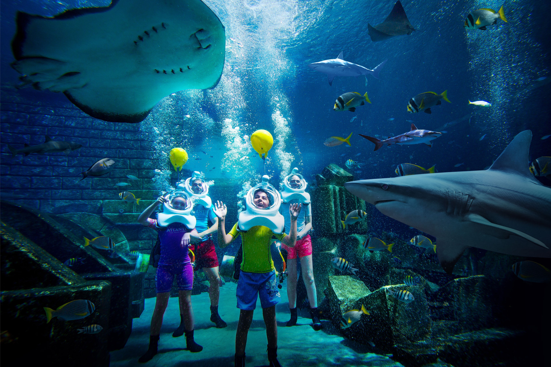 Atlantis, The Palm: в отпуск всей семьей — в мир океанских приключений