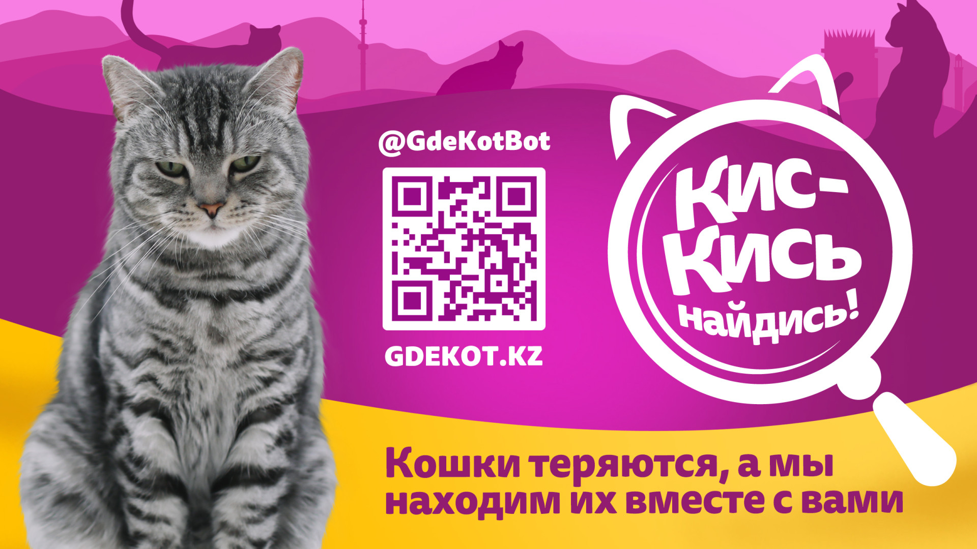 кис-кись сервис для поиска кошек