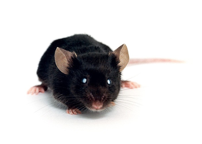 НЕОТЛОЖНЫЕ НУЖДЫ