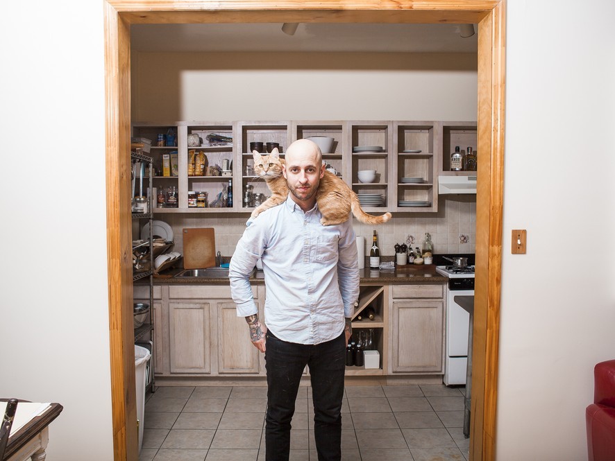 Мужчины с котами