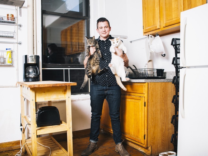 Мужчины с котами