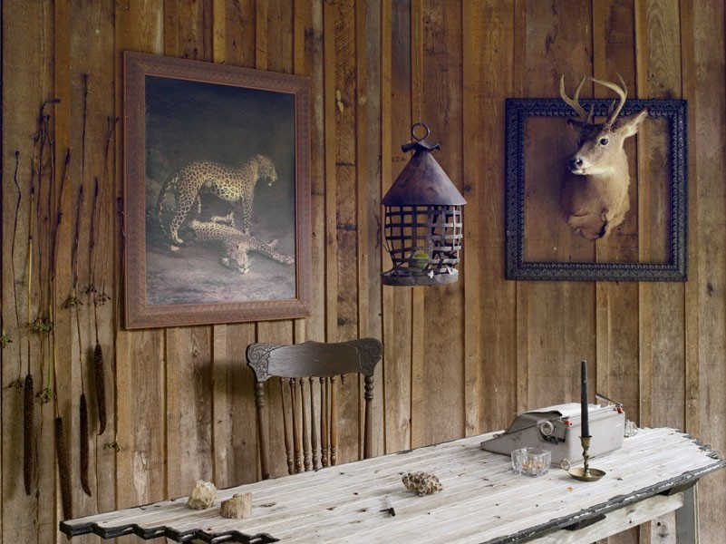 Город — в сад 21 Мая 2017 0:00