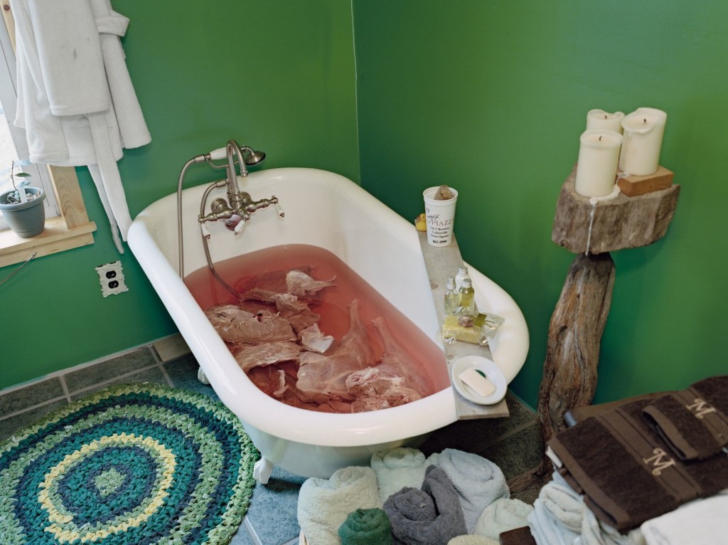 Город — в сад 21 Мая 2017 0:00