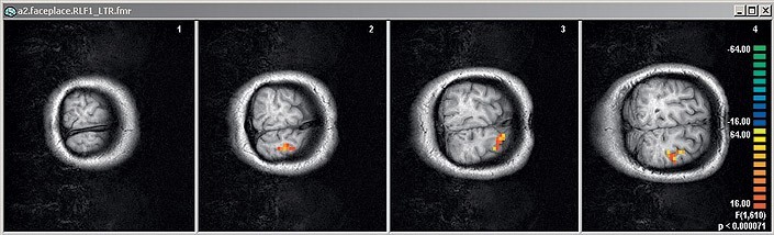 ПОИСКОВЫЕ СИСТЕМЫ