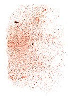 ПОИСКОВЫЕ СИСТЕМЫ