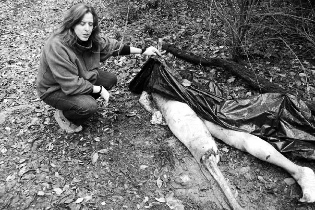 ПОИСКОВЫЕ СИСТЕМЫ