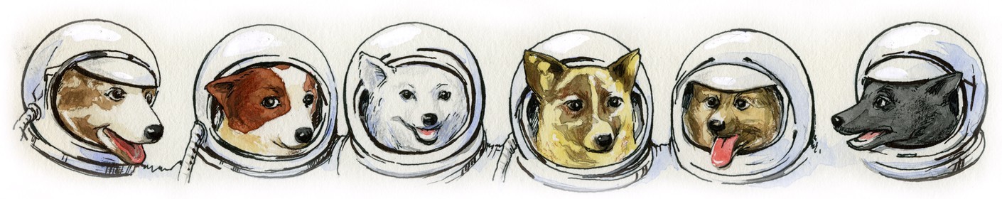 КАК ВСЁ ЗАПУЩЕНО