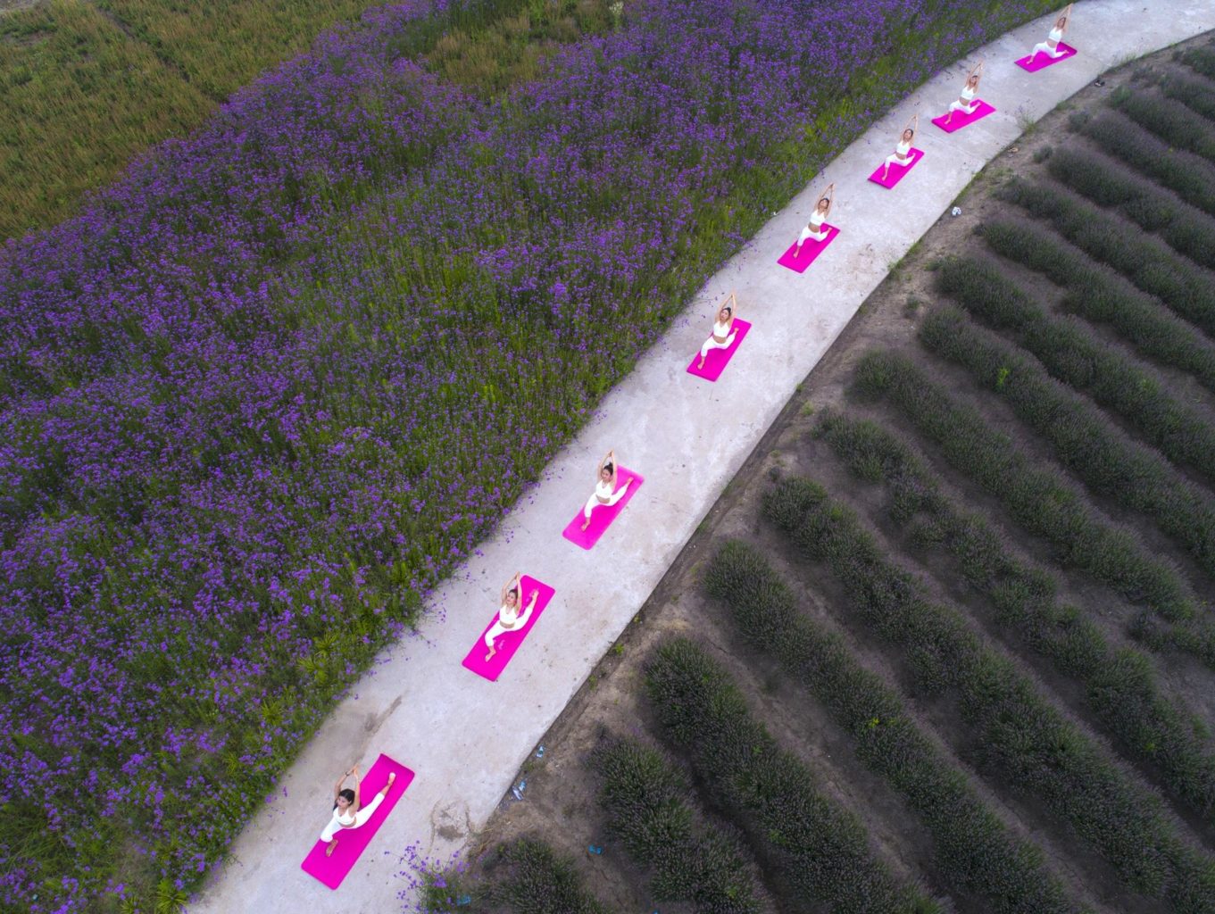 Йогу осилит идущий