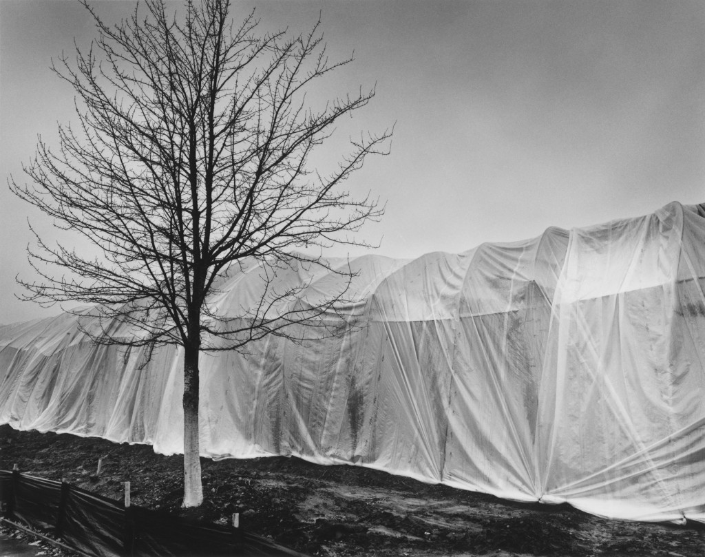 КАКОЕ НАДУВАТЕЛЬСТВО!