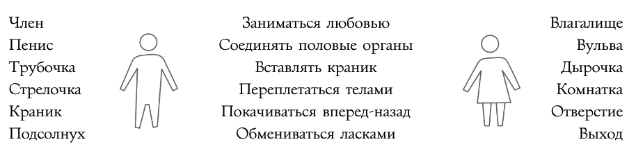 Пятиминутный путево­дитель по сексуальному просвещению