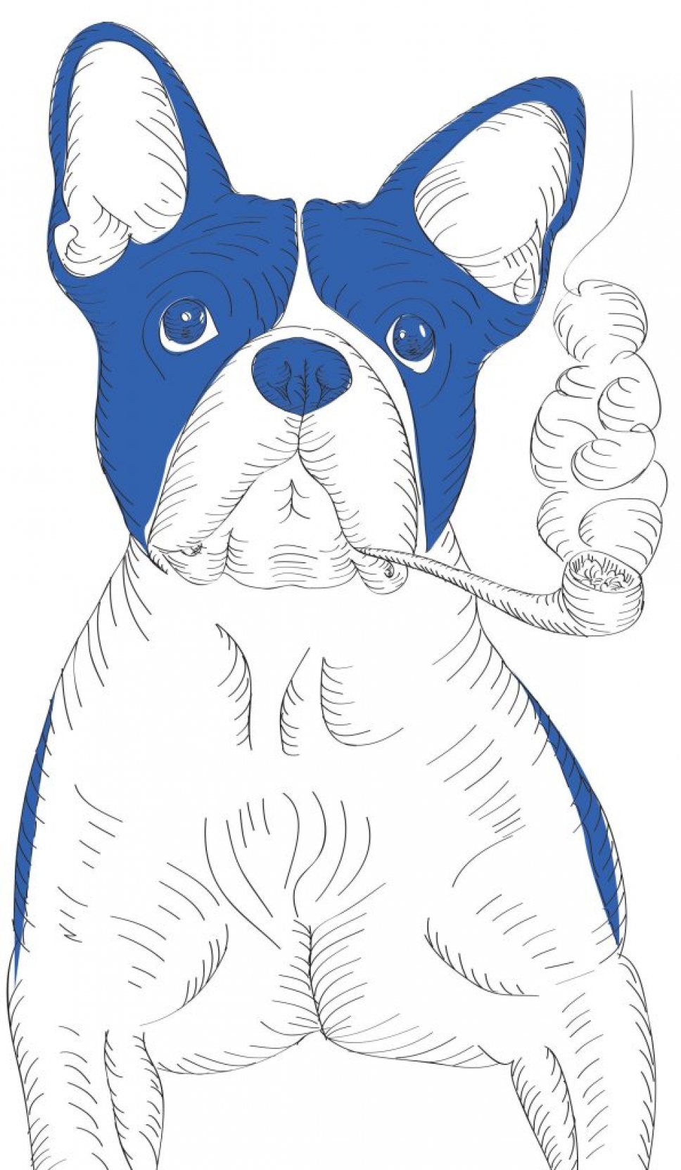 Анастасия Кириенко ВДВ