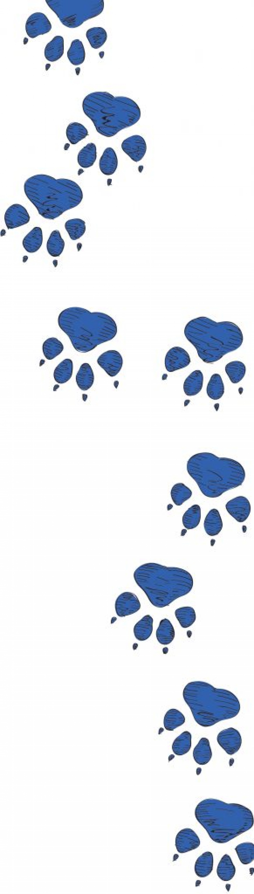 Анастасия Кириенко ВДВ