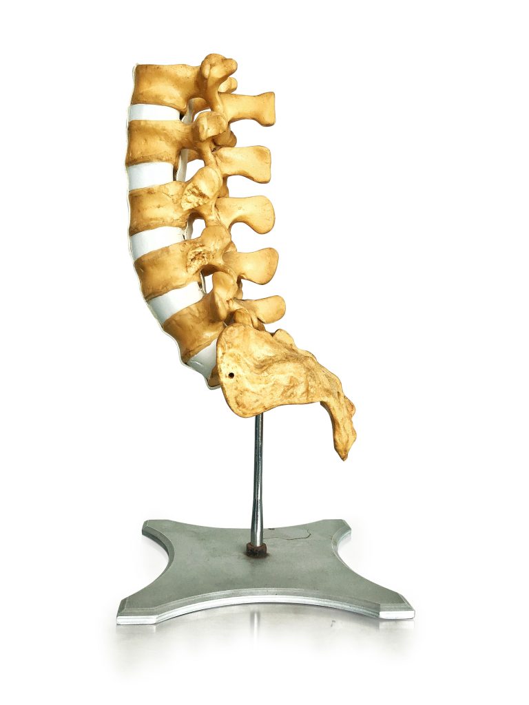 спина позвоночник Уилл Селф