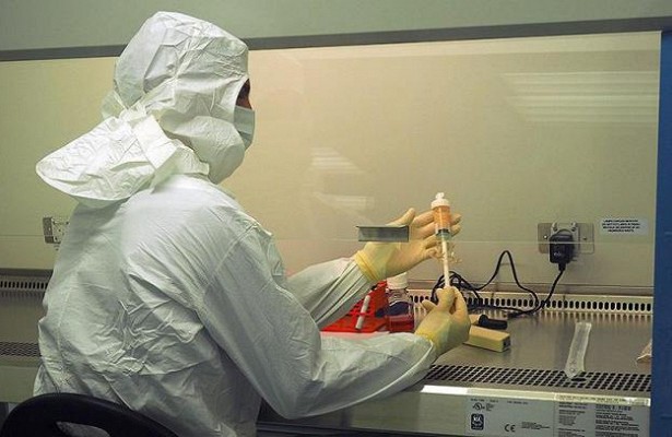 пересадка памяти 2018 наука