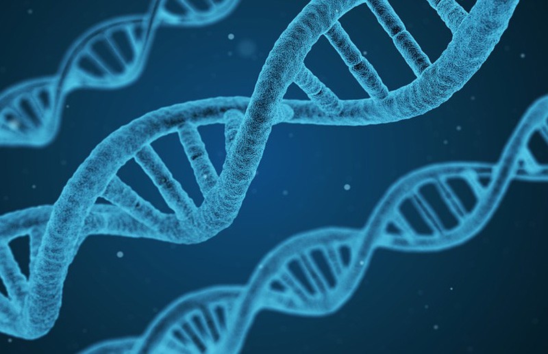 генная модификация китай наука 2018